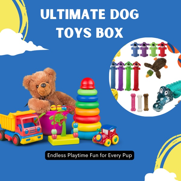 Squeak and Tug : Assorted Plush Dog Toys Bundle for Hours of Fun
