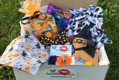 SealedWithPugKisses Specialty Dog Boxes Photo 3