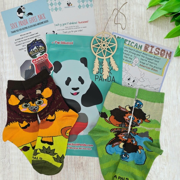 September 2024 Panda Pal Kids Socks (With Extras)