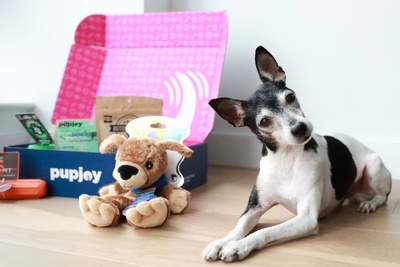 Monthly PupJoy Power Chewers Box, Treats & Toys, All Natural