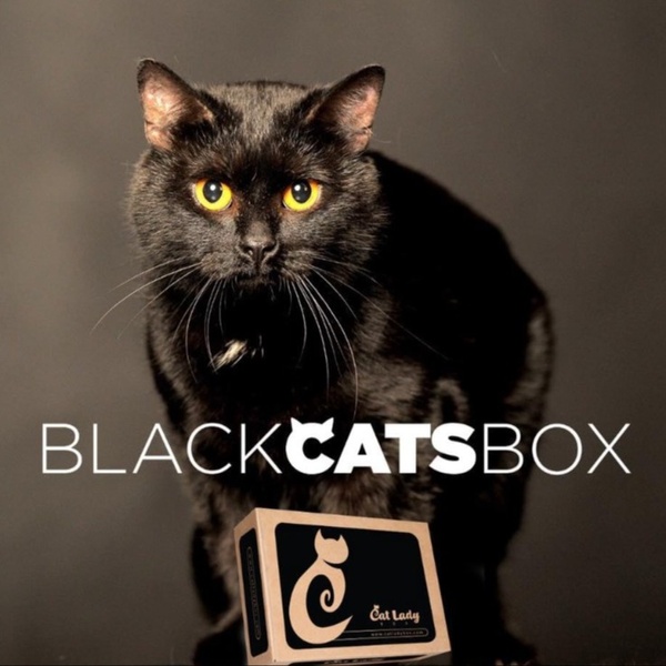 Annual BLACK CATS BOX!