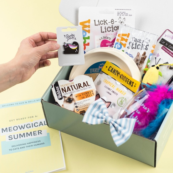 Meowgical Summer - June Box