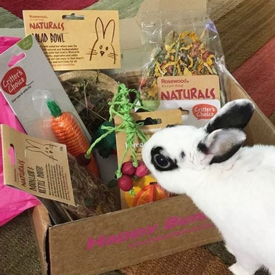 Happy Bunny Club Box Photo 3