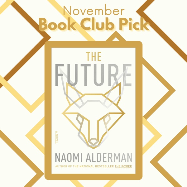 November 2023: Fiction Book Club Pick