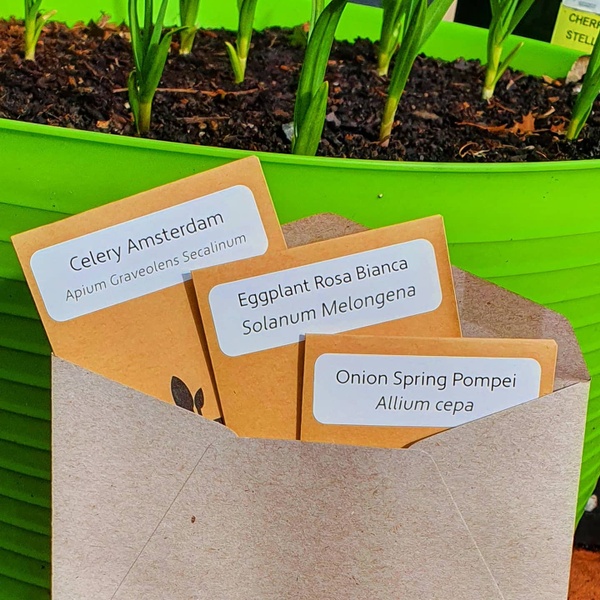 August 2020 Seeds