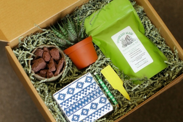 Monthly Succulent Box Photo 10 transformational self-care packages for women / self-care subscription boxes for women