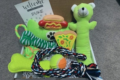 New Puppy Gift Box | New Dog Owner Gift & Welcome Home New Dog Adoption Gift Care Package Photo 3