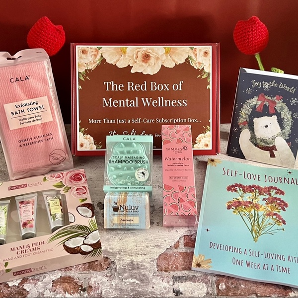 Past Boxes (December Mental Wellness and Self-Love Box)