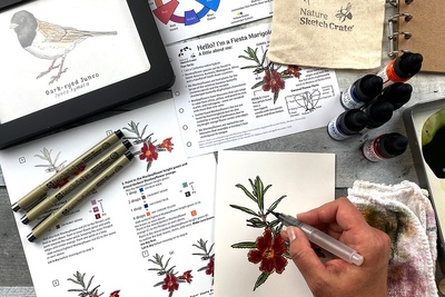 Nature Sketch Crate lesson demonstration: Paint a monkey flower. Crate also includes lesson to learn to paint a Dark-eyed Junco.