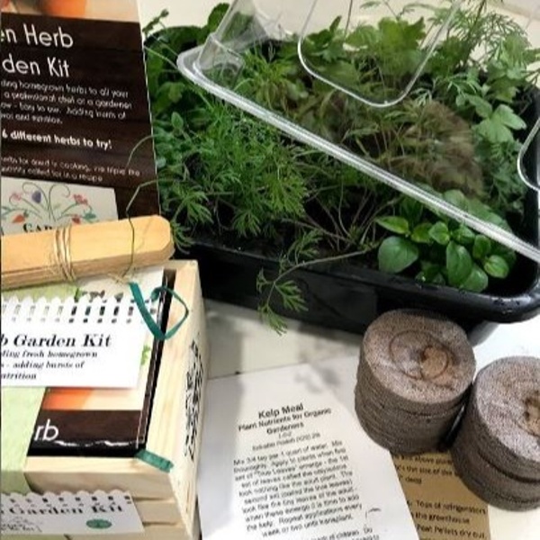 Organic Herb Kits - Urban Garden Subscription