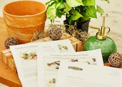 Photo for Box Insider article The Best Gift Boxes for Plant Lovers from the Collector to the Gardener 