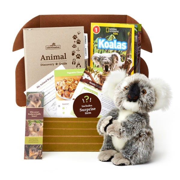 Koala Stuffed Animal edZOOcation™ Gift Box