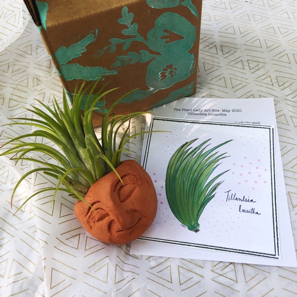 Plant Lady Art Box: May