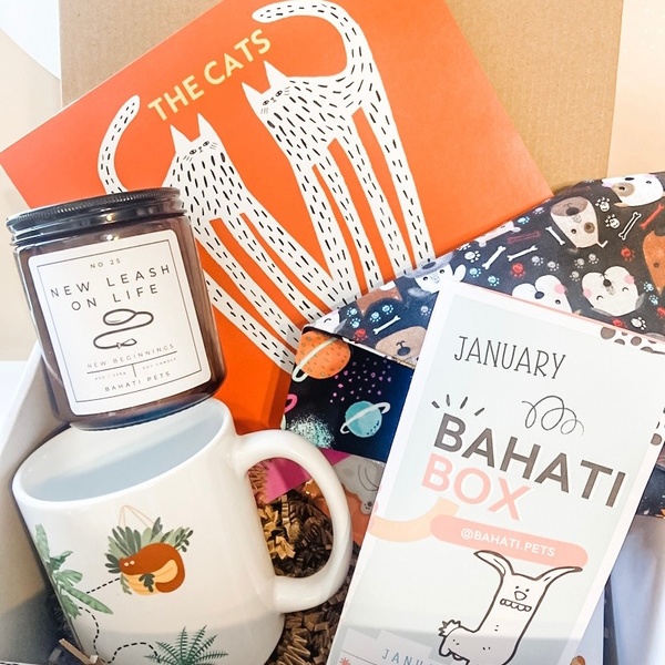 January Box