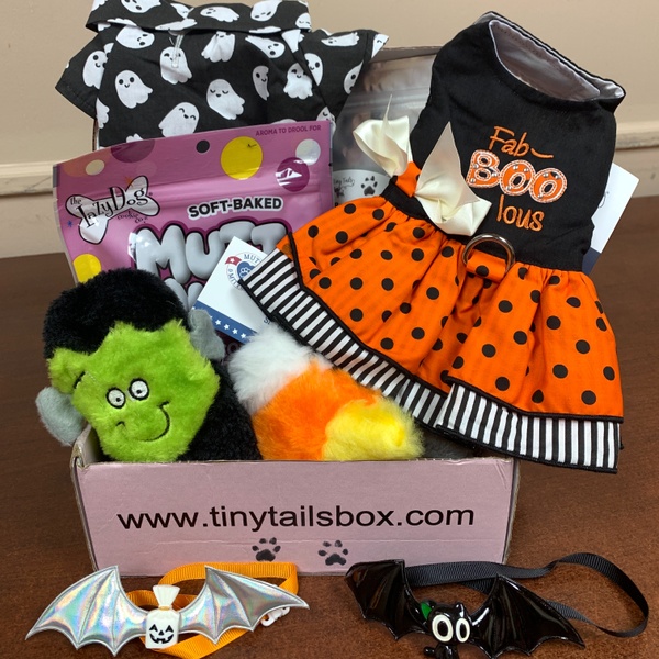 October Spooktacular Box 2021