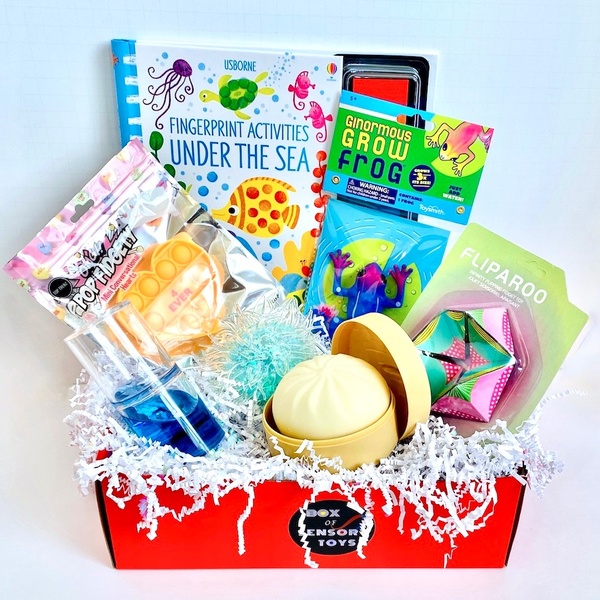 SENSORY TOY BOX 💛 K- 4th Grade (Quarterly) – Box of Sensory Toys