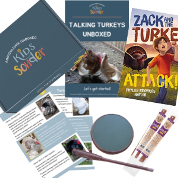 November: Talking Turkeys Unboxed