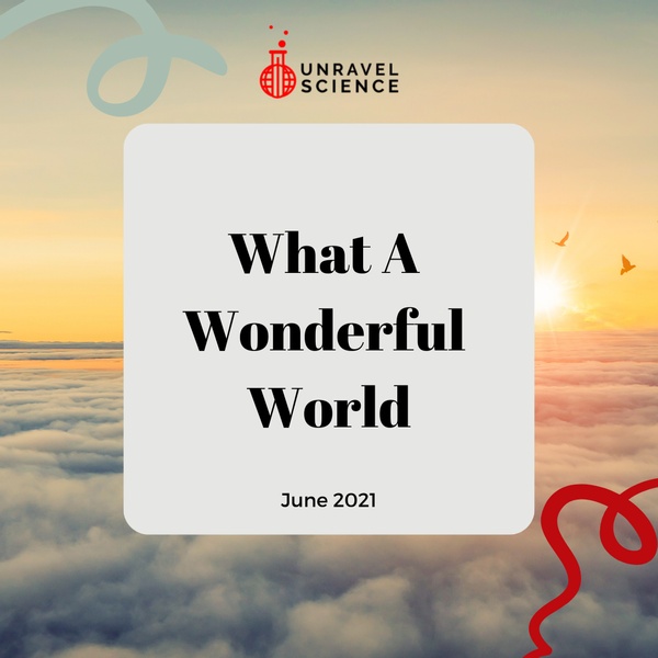 "What a Wonderful World" Box