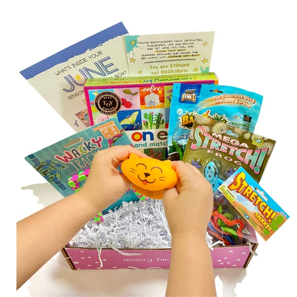 Sensory TheraPlay Box September 2022 Review