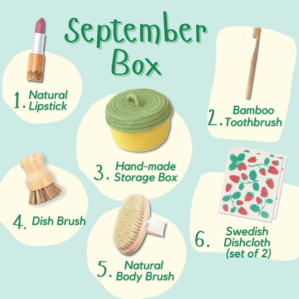 September Kiwi Eco Box