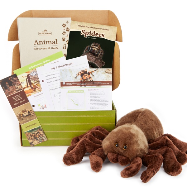 Spider Stuffed Animal edZOOcation™ Gift Box