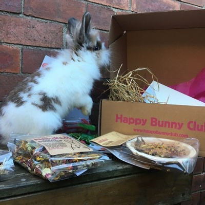 Happy Bunny Club Box Photo 2