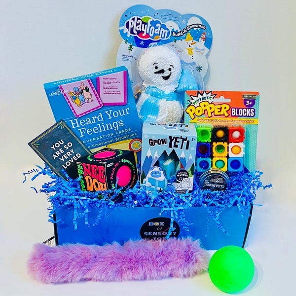 "Frosty Fun" VIP Box - January 2023 