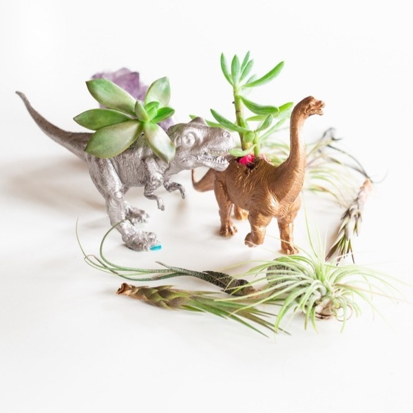 January - Gilded Dinosaur Planters with Air Plants & Succulents