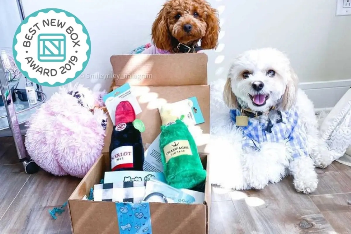 Pet Gift Guide: Subscription Boxes for All Kinds of Animal Lovers (2022)
