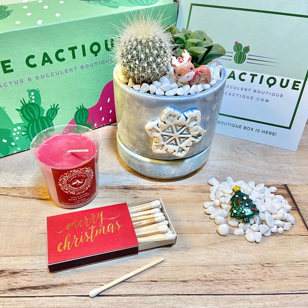 December '21 box - 'Holiday Bliss'