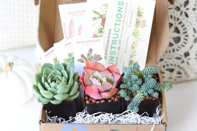 Succulents Box - Monthly Subscription Box Photo 2