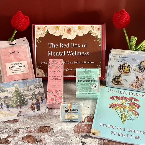 Past Boxes (December DIY Miniature House Project Box)