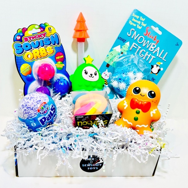 Holiday Toy Box - December 2024 - Holiday Box