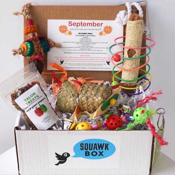 September, 2020 Little Birdie Box