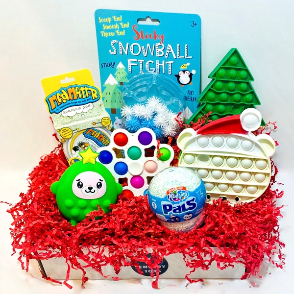 Fidget Toy Box - December Box