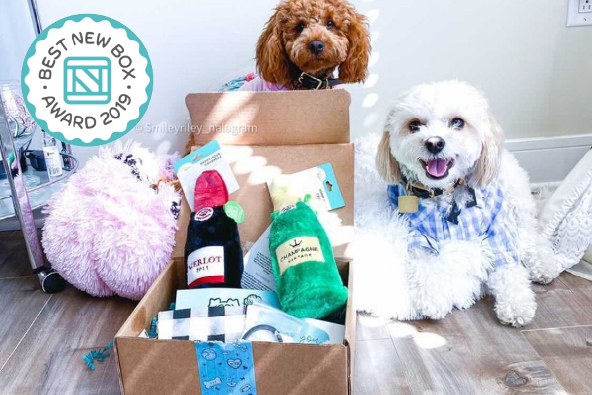 2 dogs sitting next to a Dog Mom subscription box filled with dog toys and other supplies.