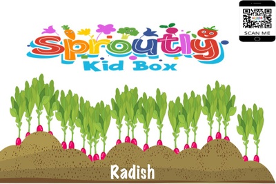 September 2021 Sproutly Kid Box Photo 1