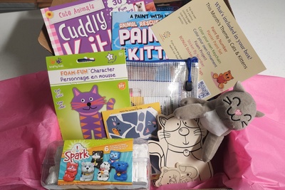 NEW Craft n' Play Monthly Themed Subscription Craft Box for Kids Ages 4-6 Photo 2