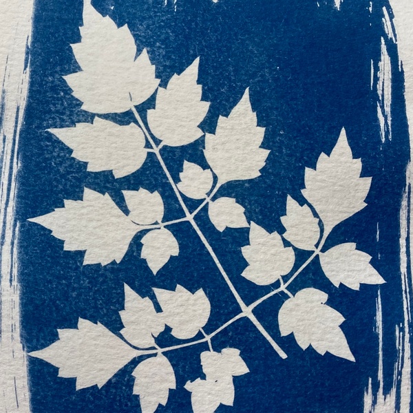 August 2022 Cyanotype Art and Tote