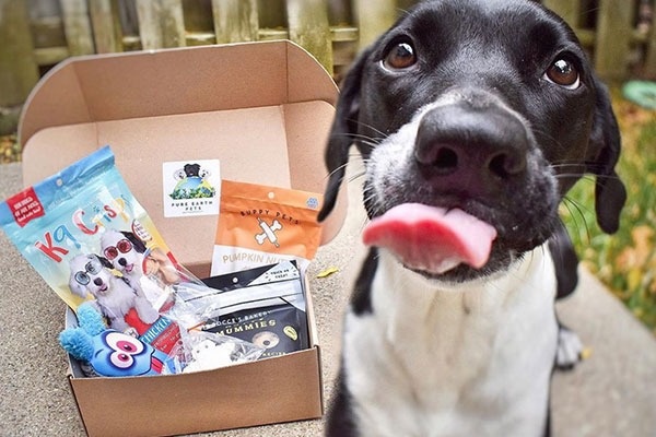 Pure Earth Pets Eco Friendly Dog Box Photo 1