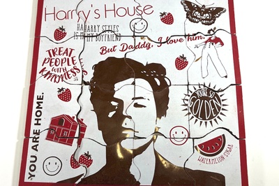 Harry Styles Subscription Box Photo 1