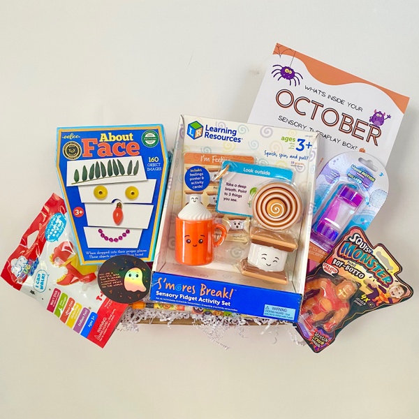 Sensory TheraPlay Box August 2022 Review + Coupon