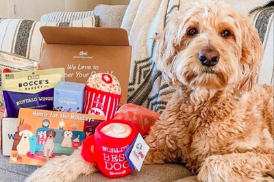 Pooch Perks Premium Customized Dog Boxes Photo 2