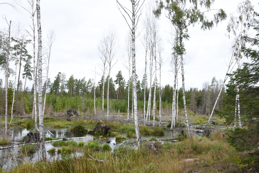 Nyskapad våtmark på Skogssällskapets fastighet Selesjö, Östergötland. Foto: Ulrika Lagerlöf/Skogssällskapet