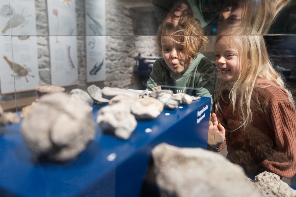Två barn som tittar in i en monter med fossiler. 