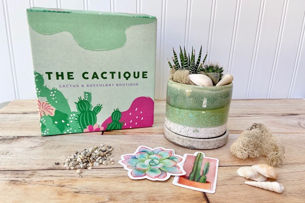 15 Succulent Subscriptions That Bring Joy to Your Space, Wandering Hoof Ranch