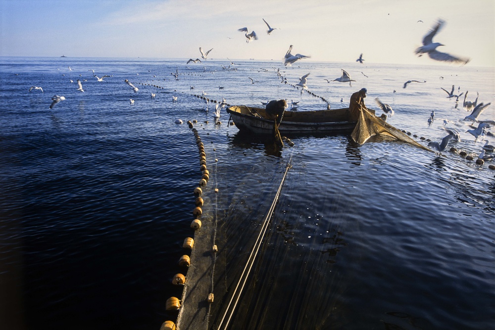 Gotland fiskeläge. Sysne. (Livlands kust 186 km)