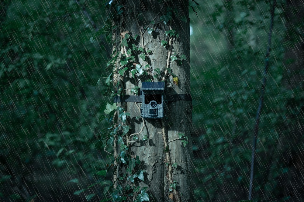 Camouflage Trail Cameras