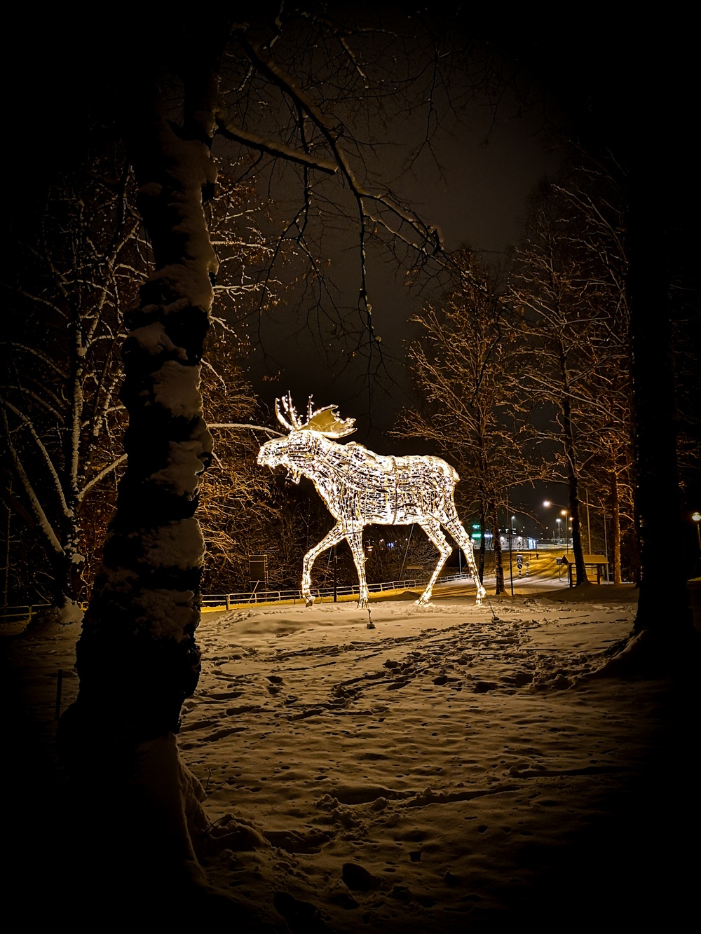 Ljusälg i Torsby