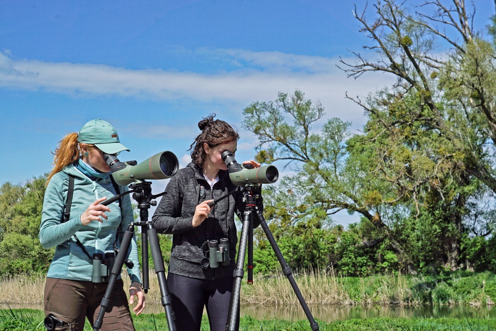 Kowa Spotting Scope TSN-66